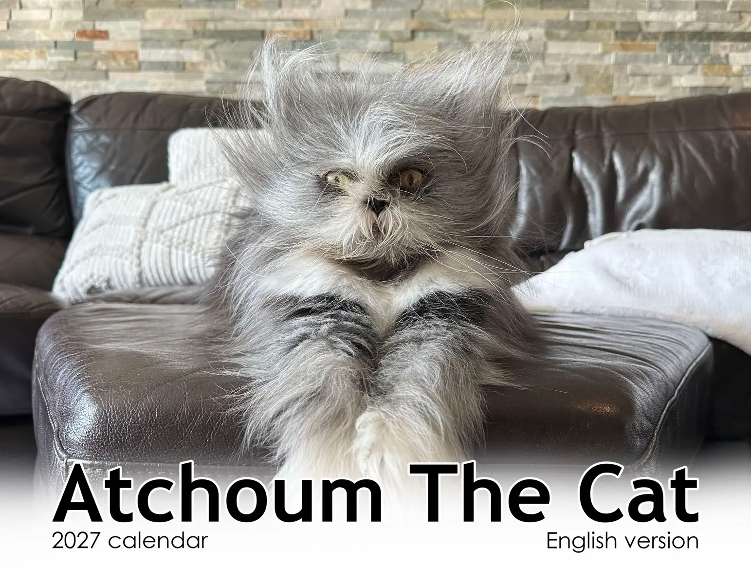 @atchoumthecat
