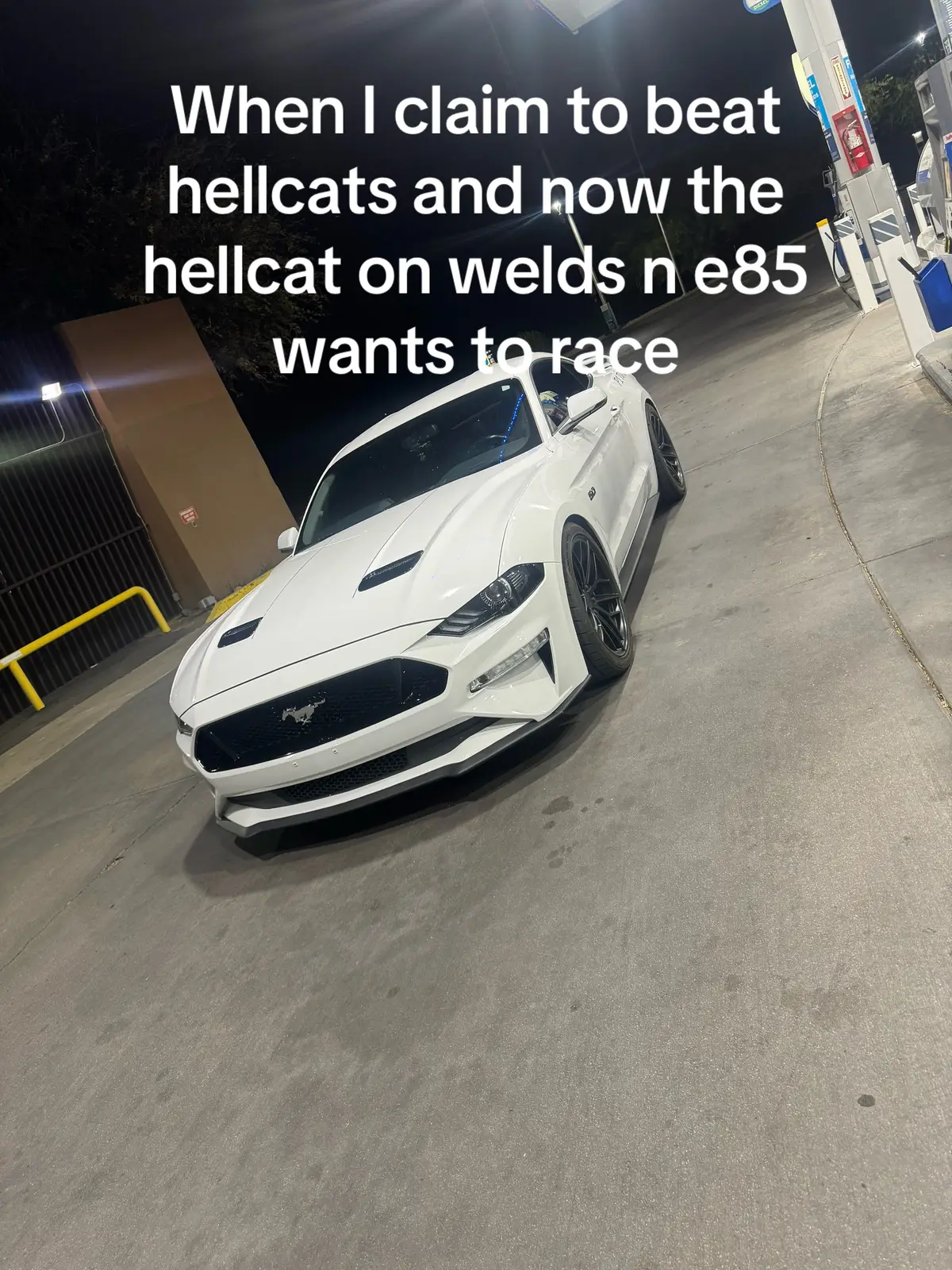@5.0 Snowyy