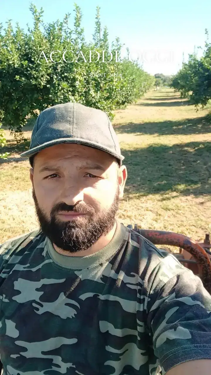 @user8770659710641
