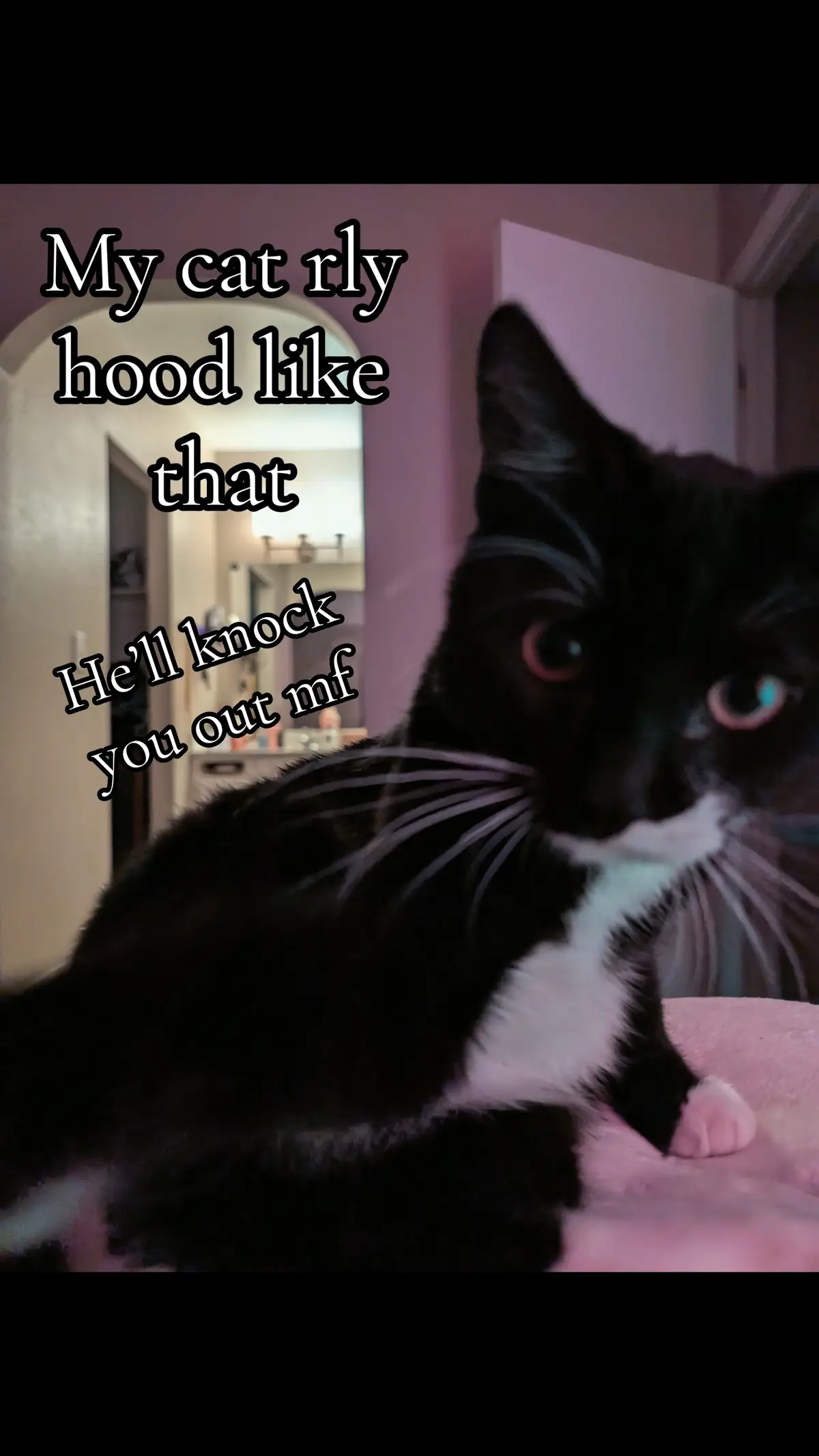 @𐕣𝕾𝖔𝖚𝖑𝖋𝖚𝖑𝖘𝖈𝖆𝖗𝖋0𐕣