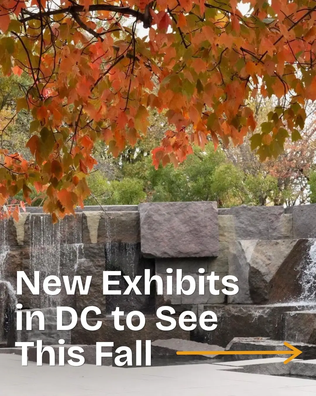 @Visit Washington, DC
