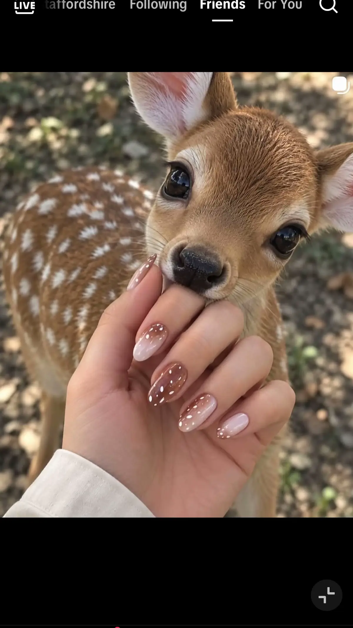 @Demi 👣