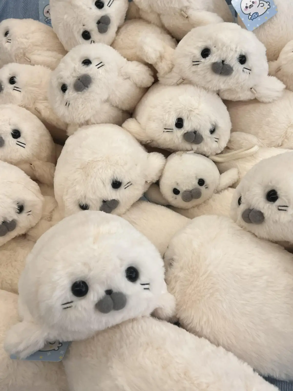 @Seal2028