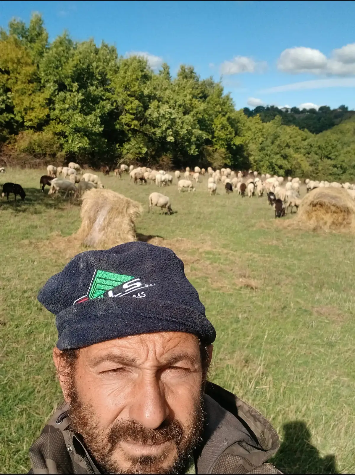 @Amato della vecchia