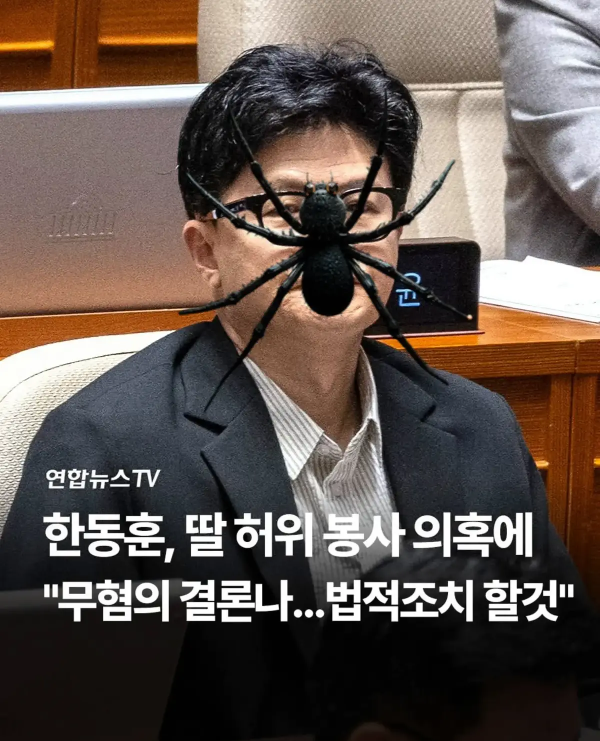 @🌺시라소니[본]🌺