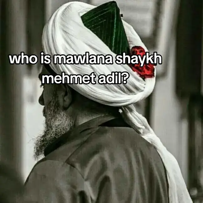 @mureed