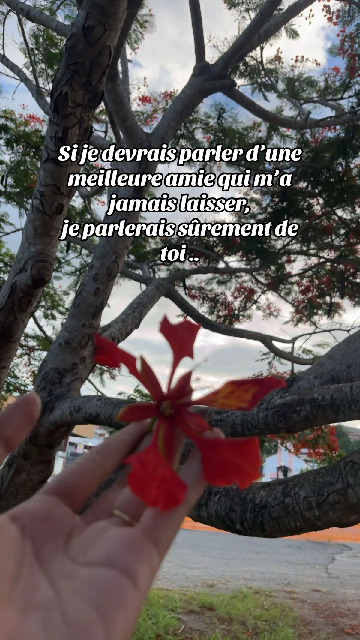 @Ana-fenua🌺