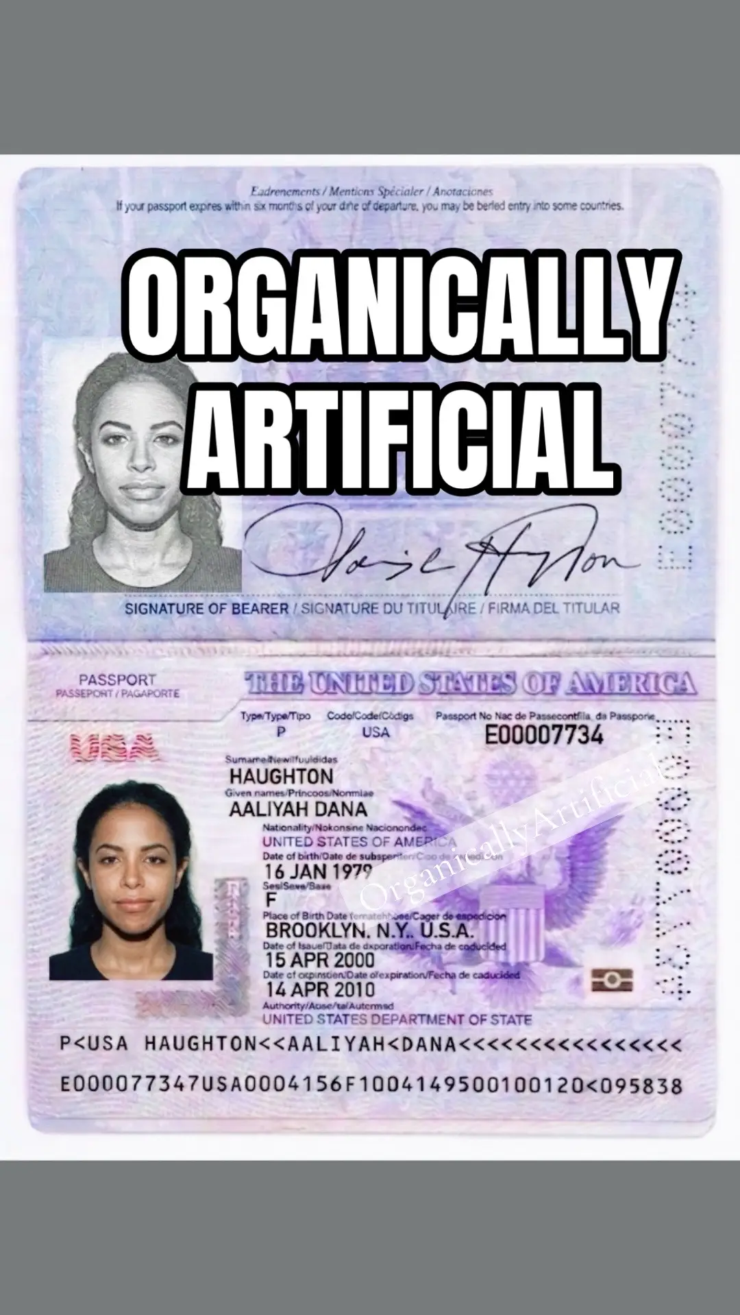 @The Organically Artificial CEO