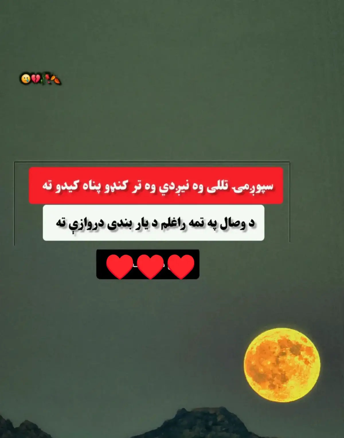 @Tayeebullah Hamdard