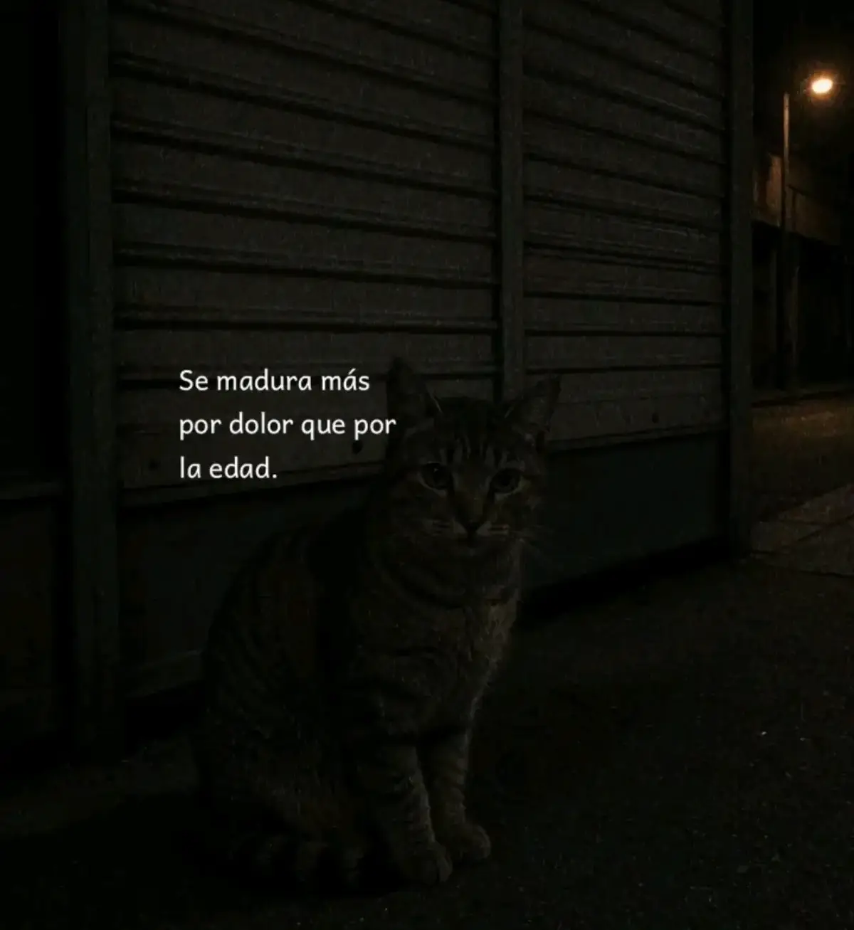@.JOSÉ.⚔️🌽