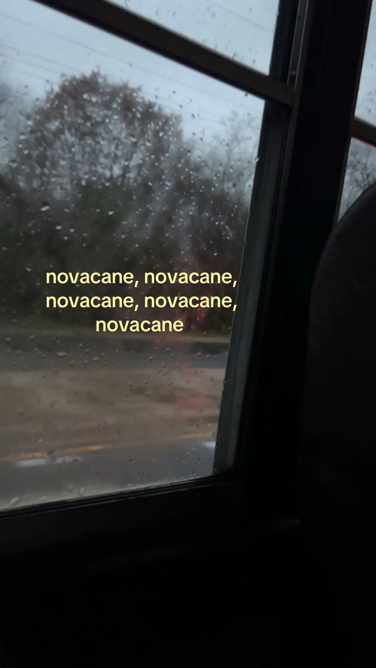 @𝐀𝐧𝐠𝐞𝐥 🐚