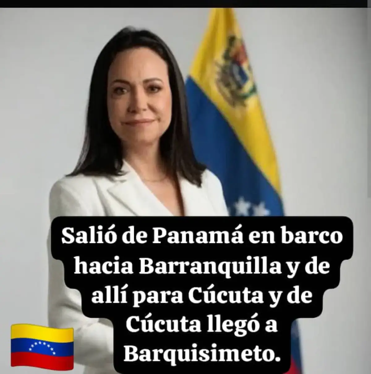@luis anciani