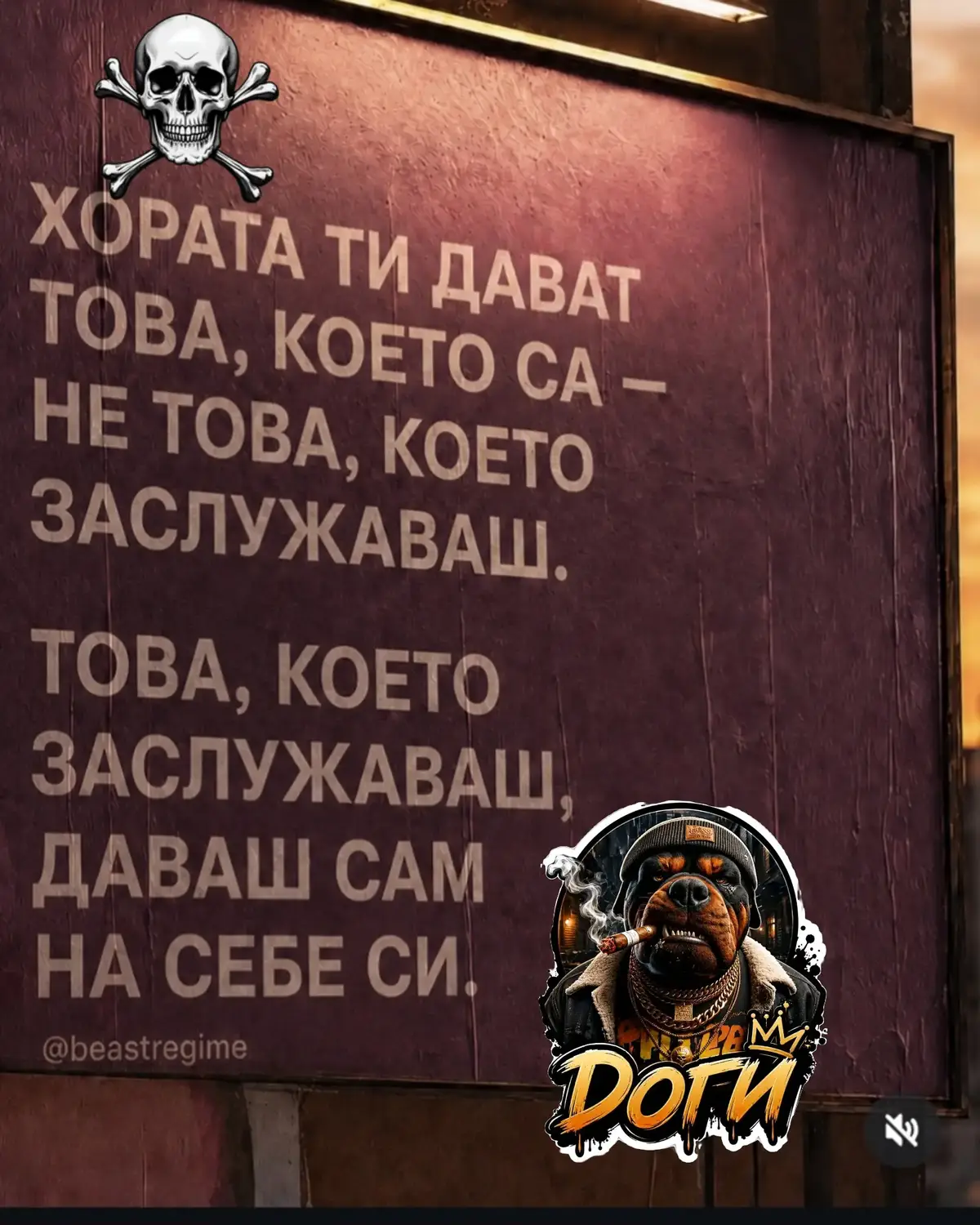@🇧🇬Бясното Куче🇧🇬