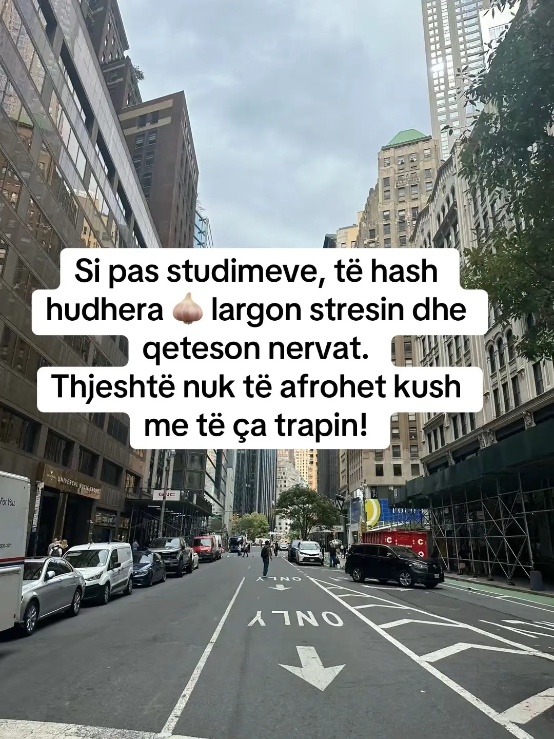 @ZemraM&euml;Kujton🤗❤️