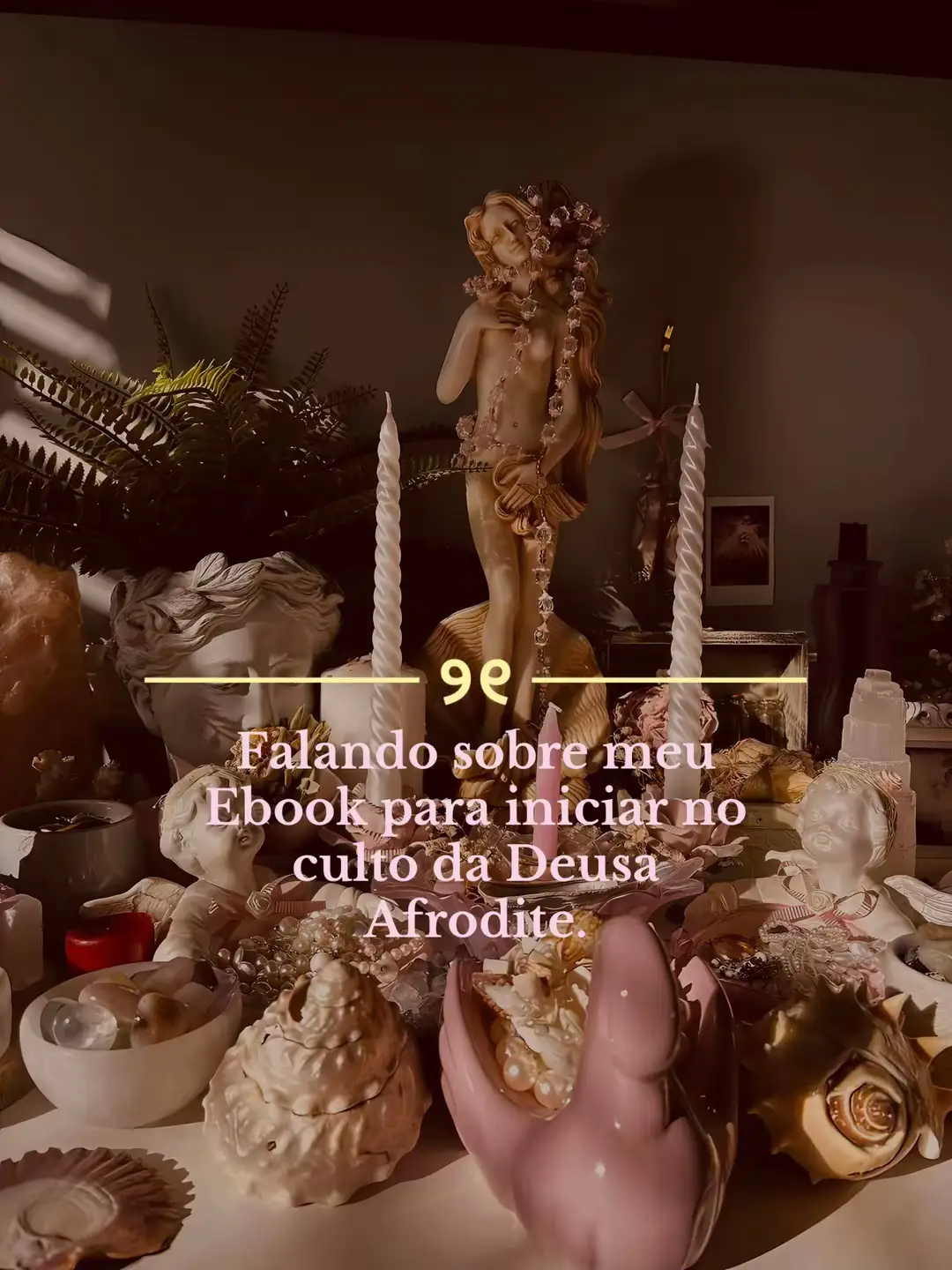 @VENUS ⋆˚꩜。