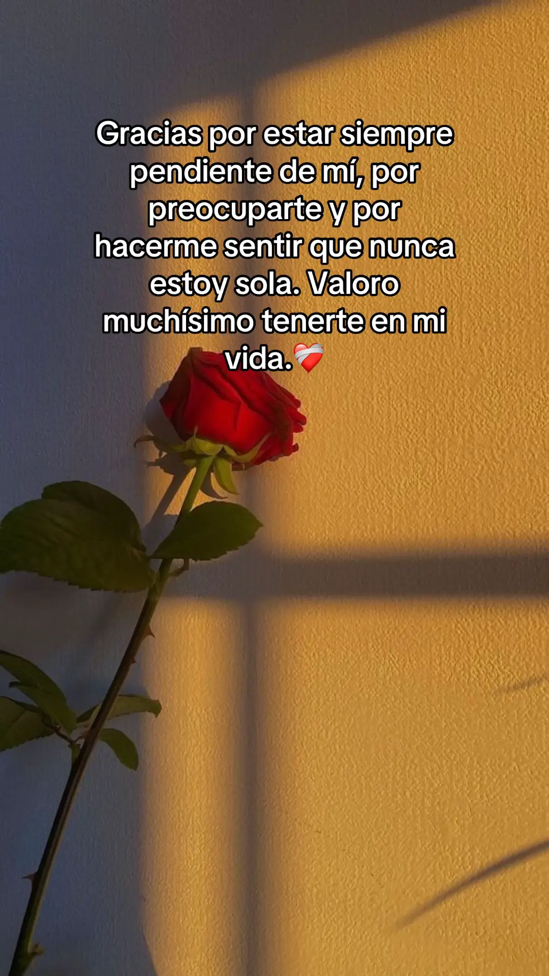 @Beatriz A .