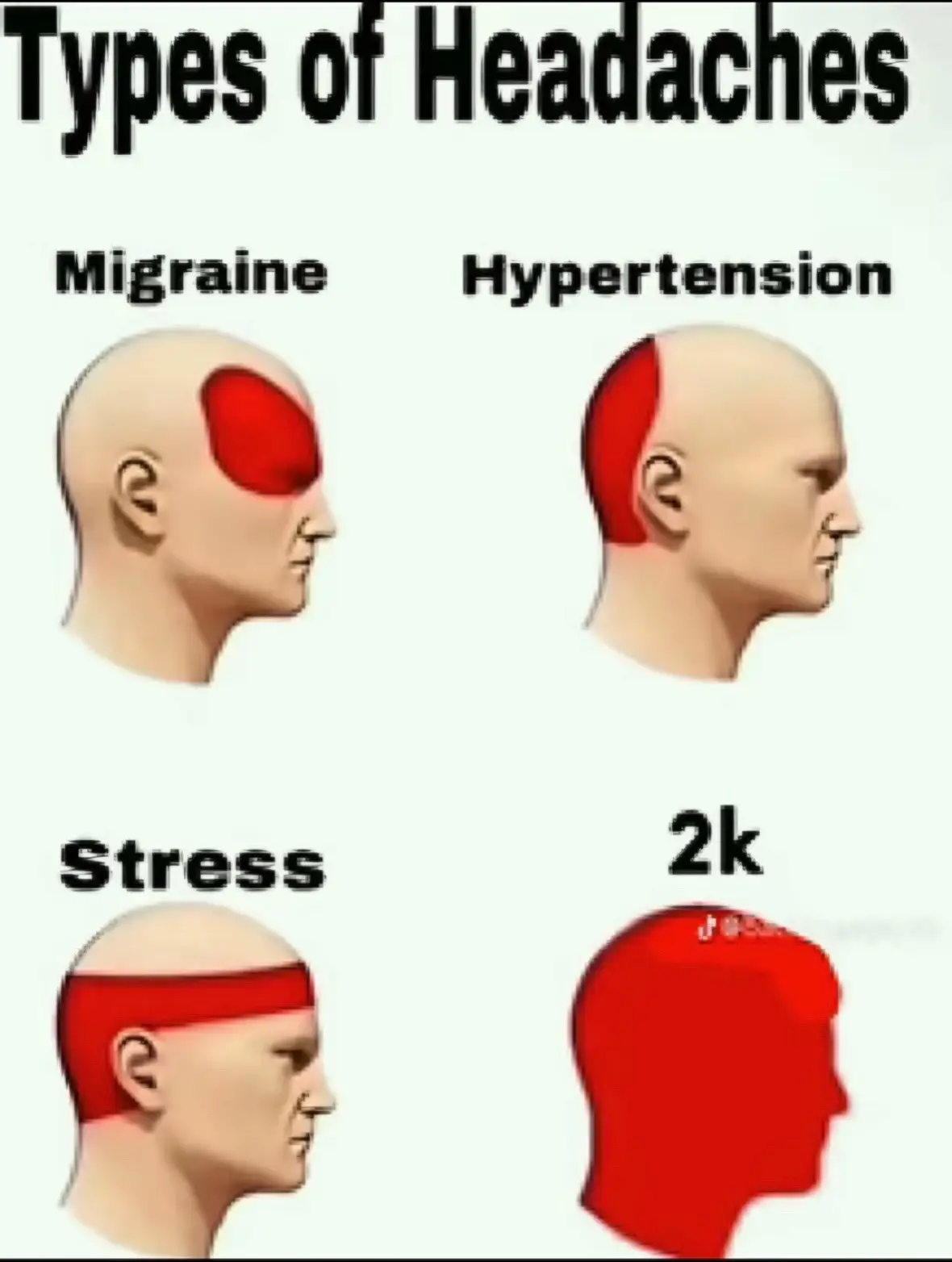 @Evxn