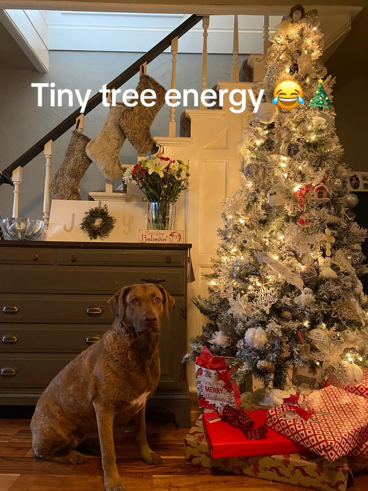 @BigBarnDreams