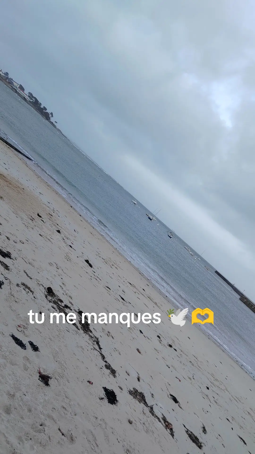 @C&eacute;line-line