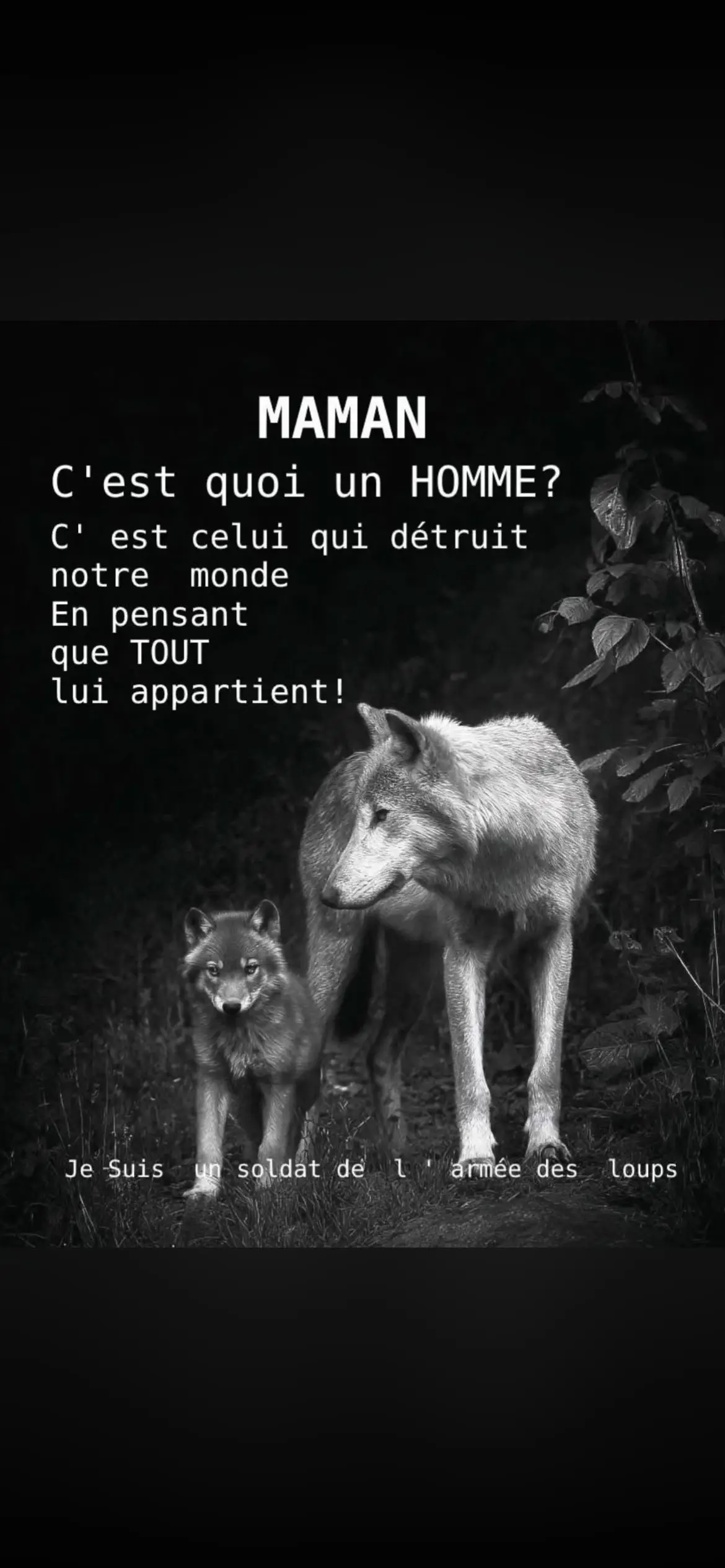 @guylou Tsr