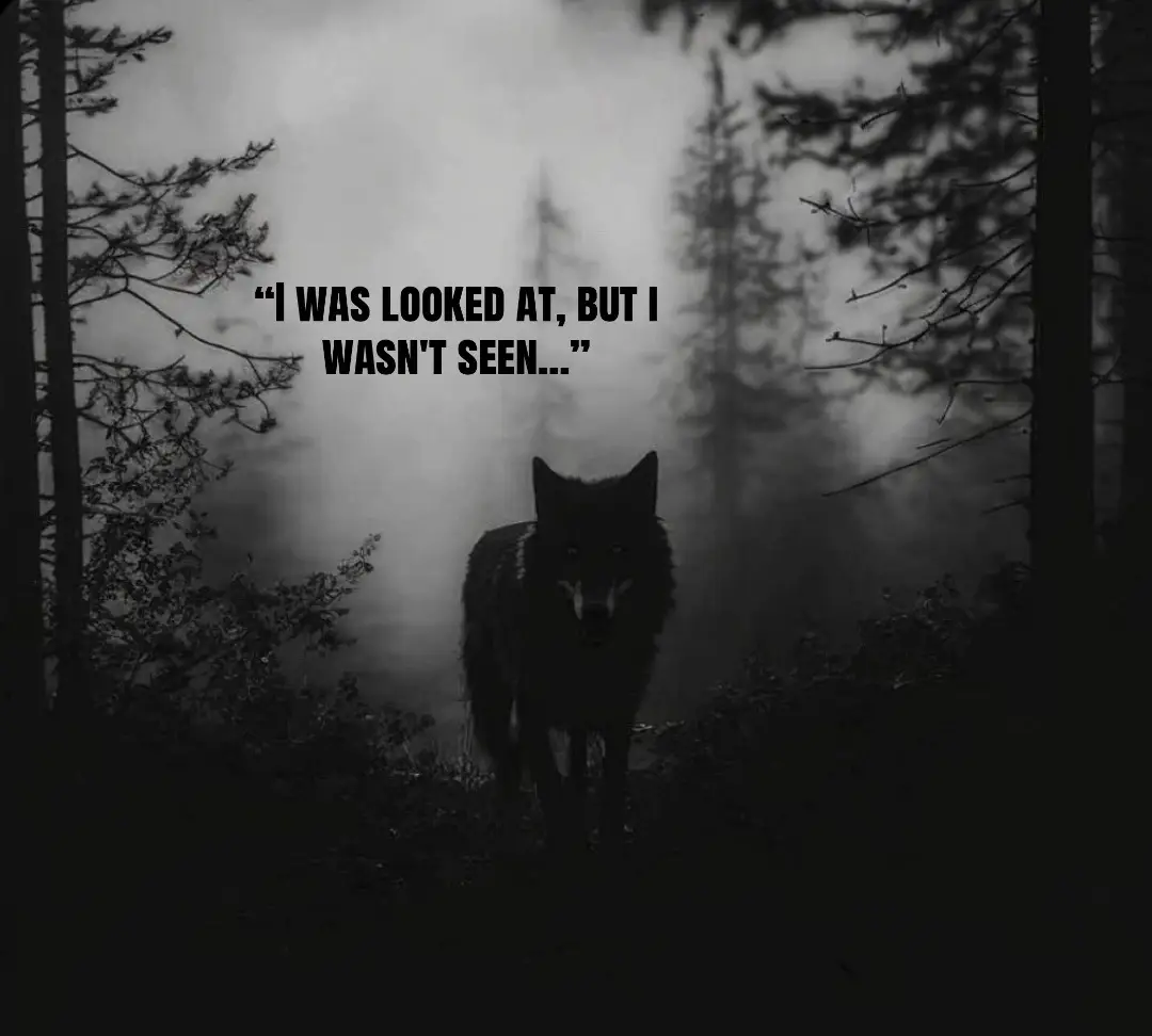 @🪬Conscious_LoneWolf🐺