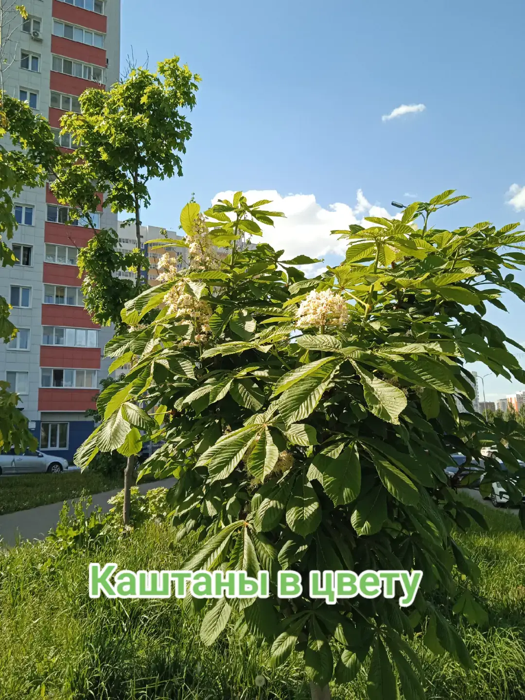@Лилия