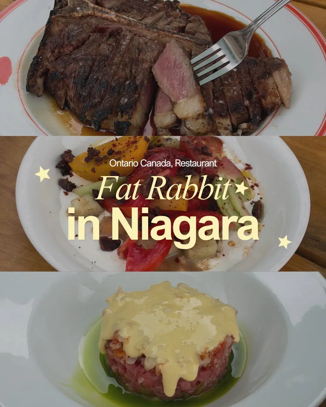 @fatrabbit