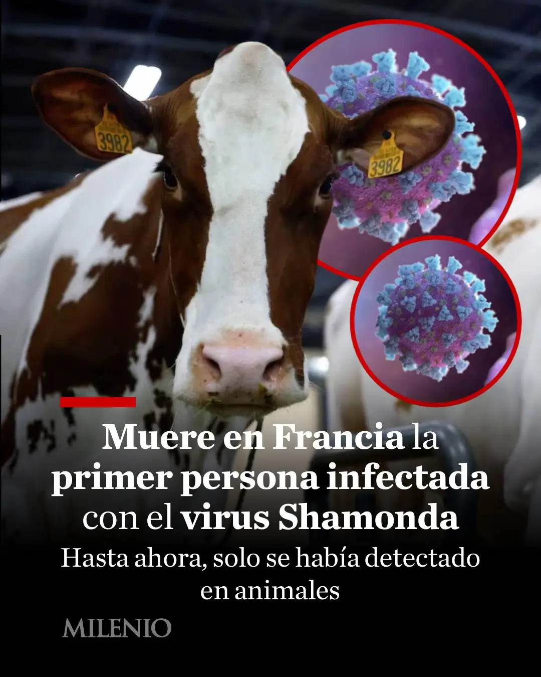 @MILENIO