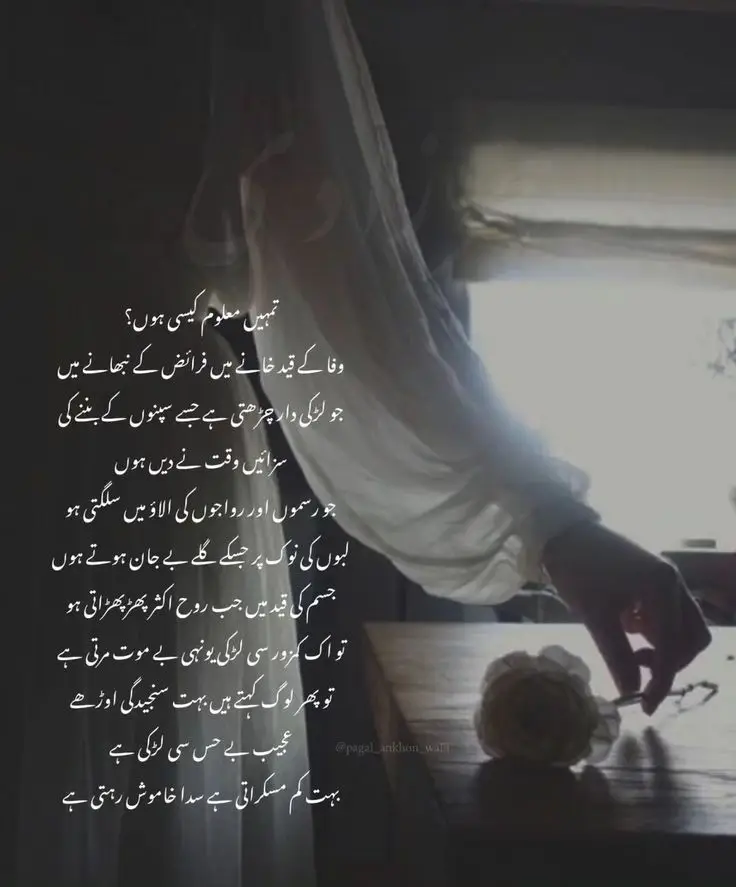 @قلبِ مومن🍂