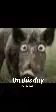 @Arshadow