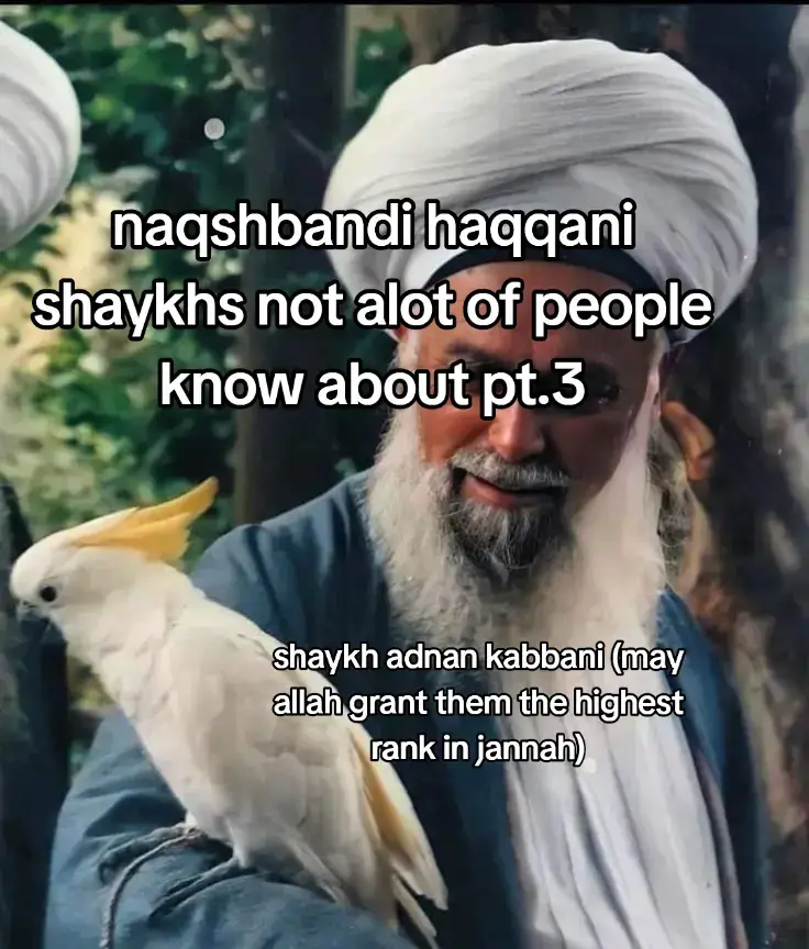 @mureed