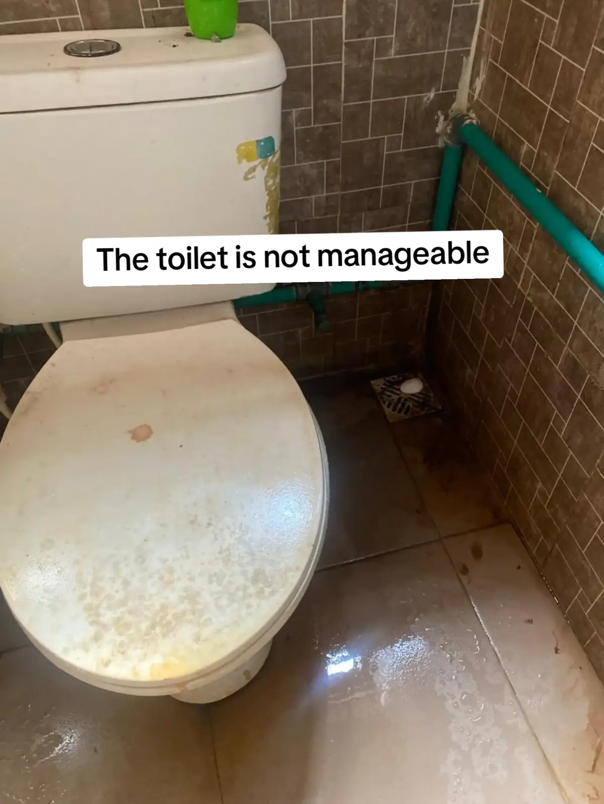 @Tilescleaner Toiletcleaner
