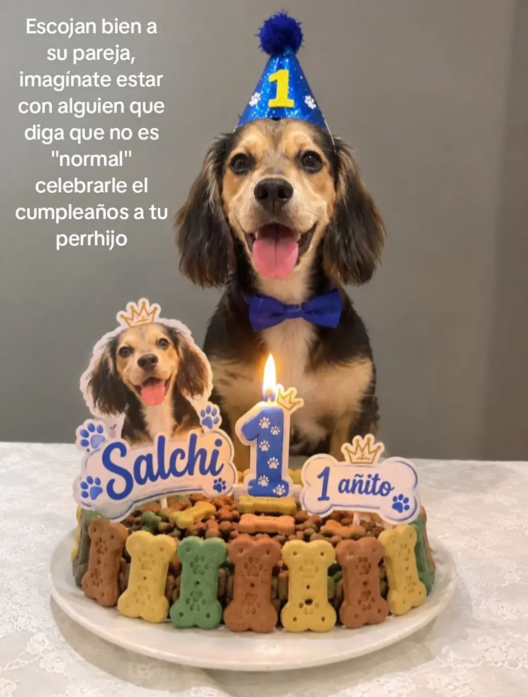 @Una leo♌️