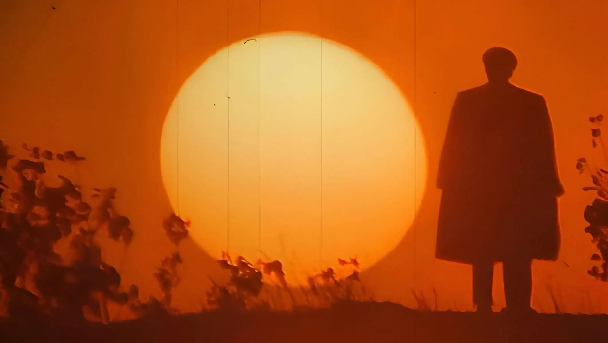 @HypeAuraMoments1949