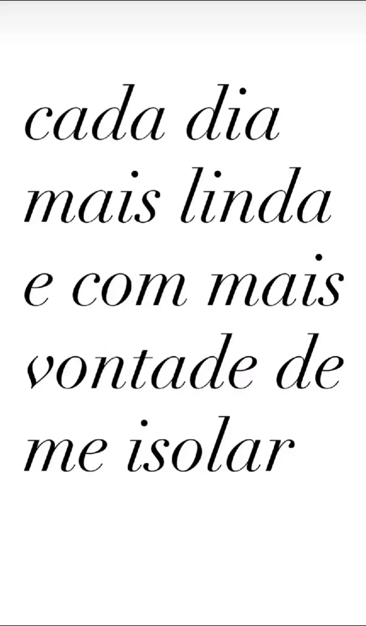 @Amanda Brum