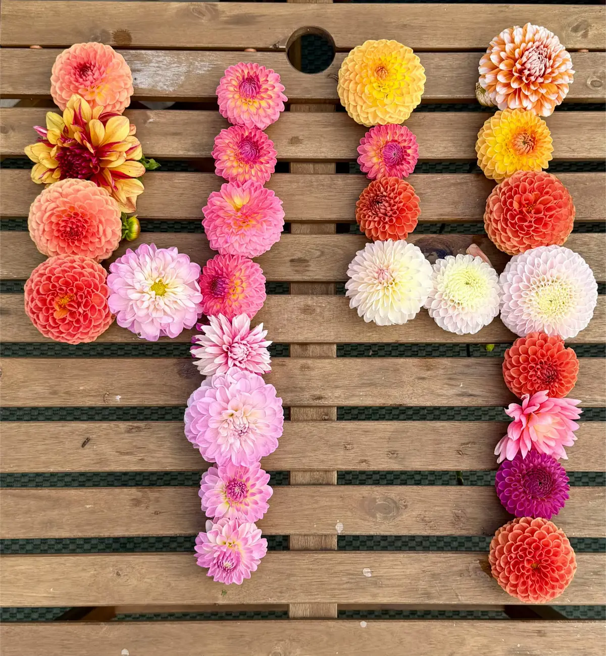 @GardeningGrant 🇨🇦