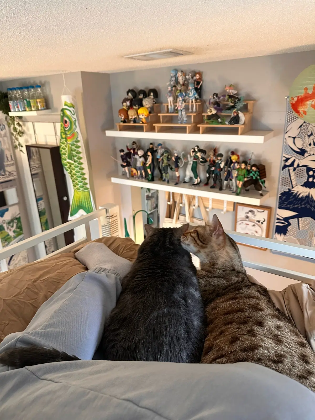 @oreocatsu