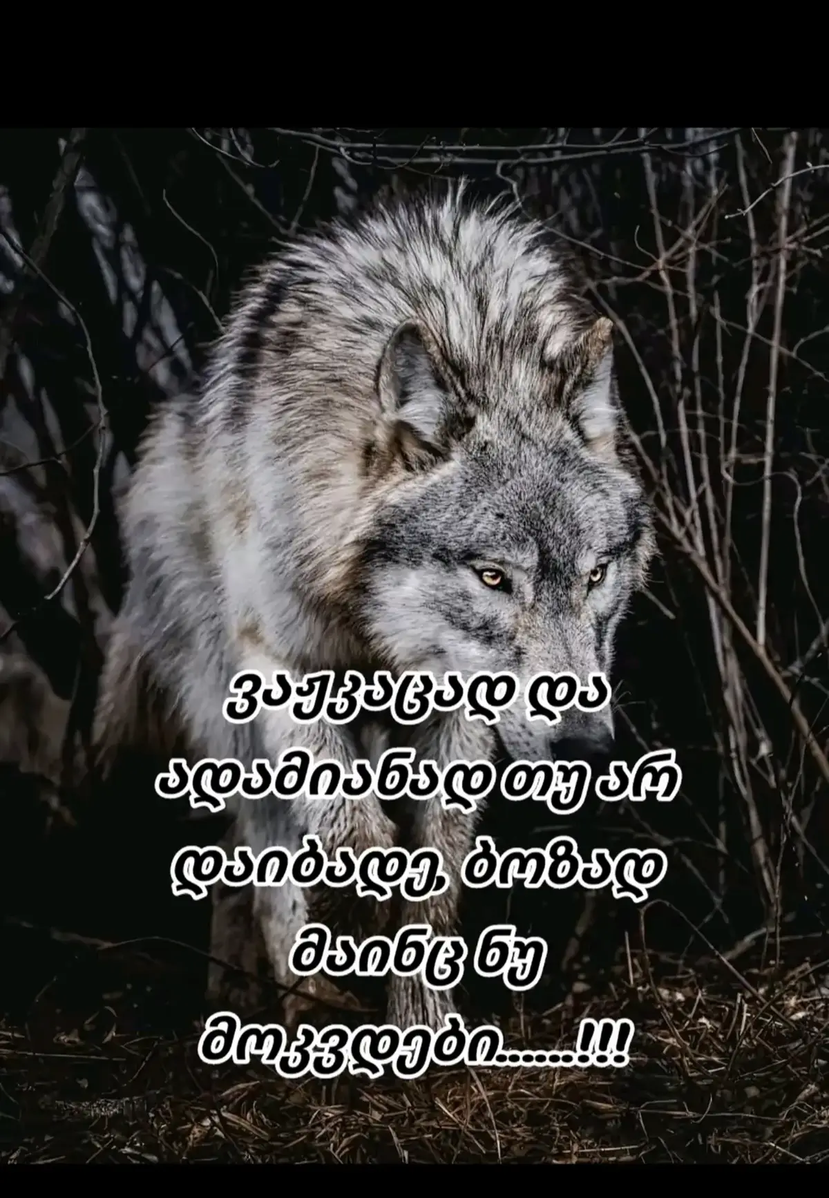 @➻❥×օҍՏƘí❦✟