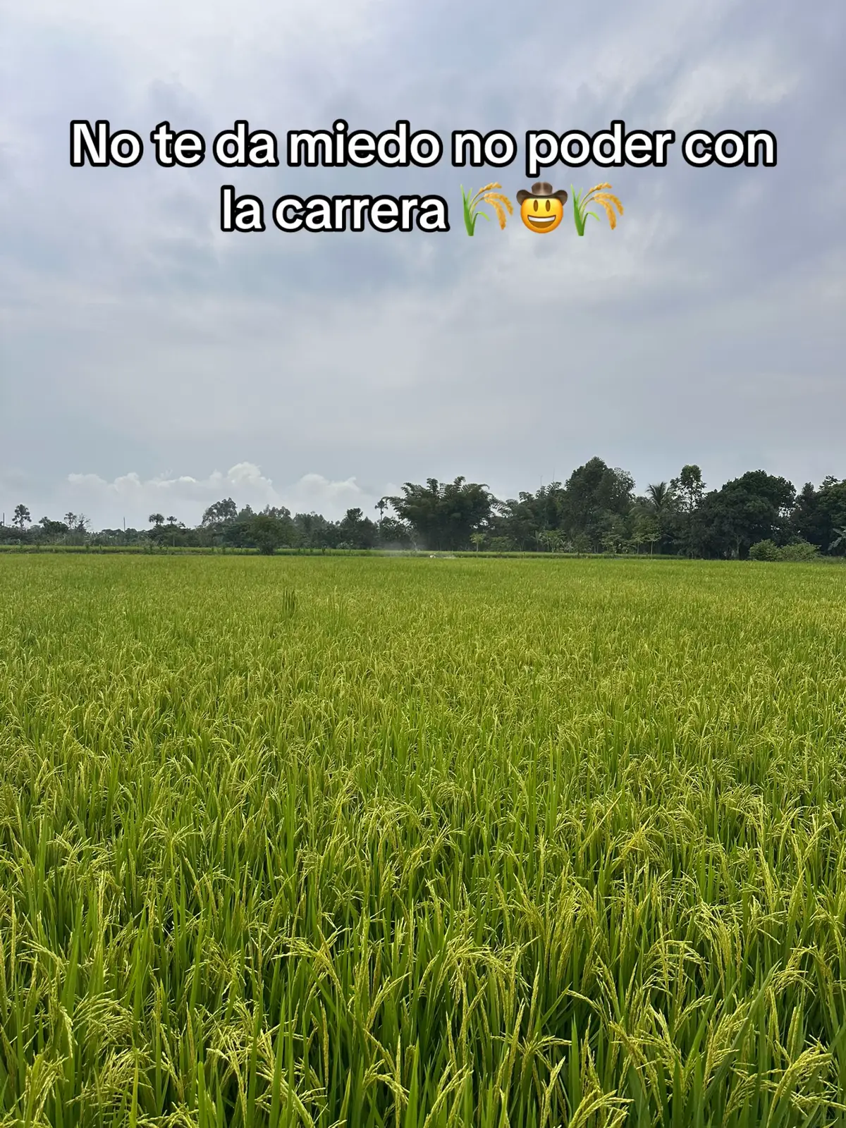 @Alejandro
