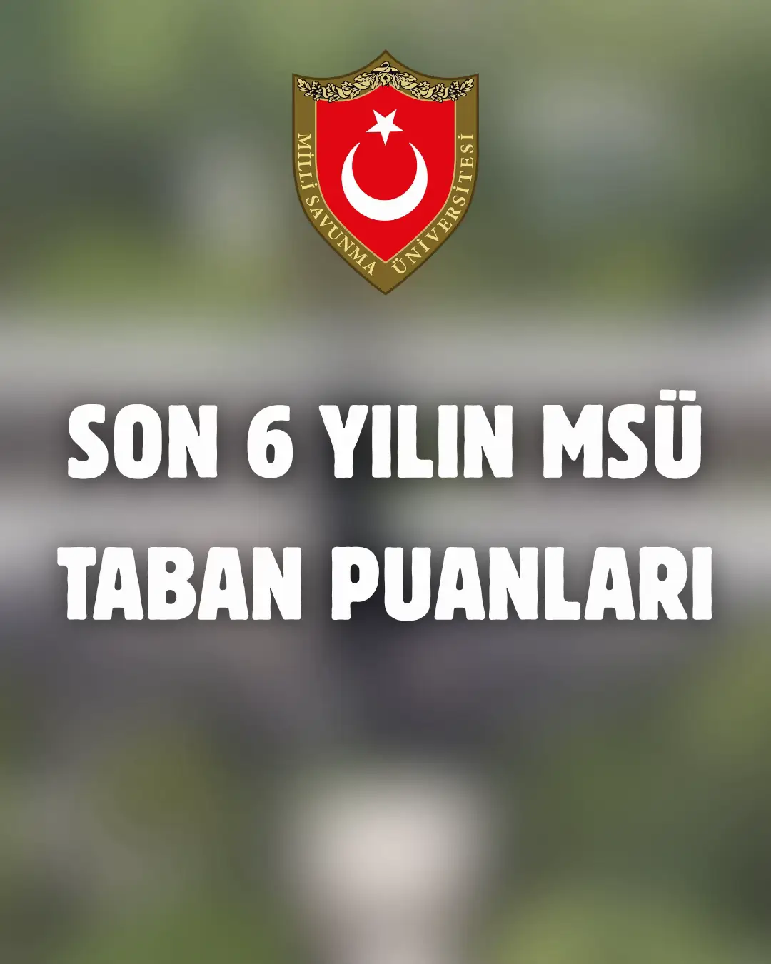 @msu.rehberim