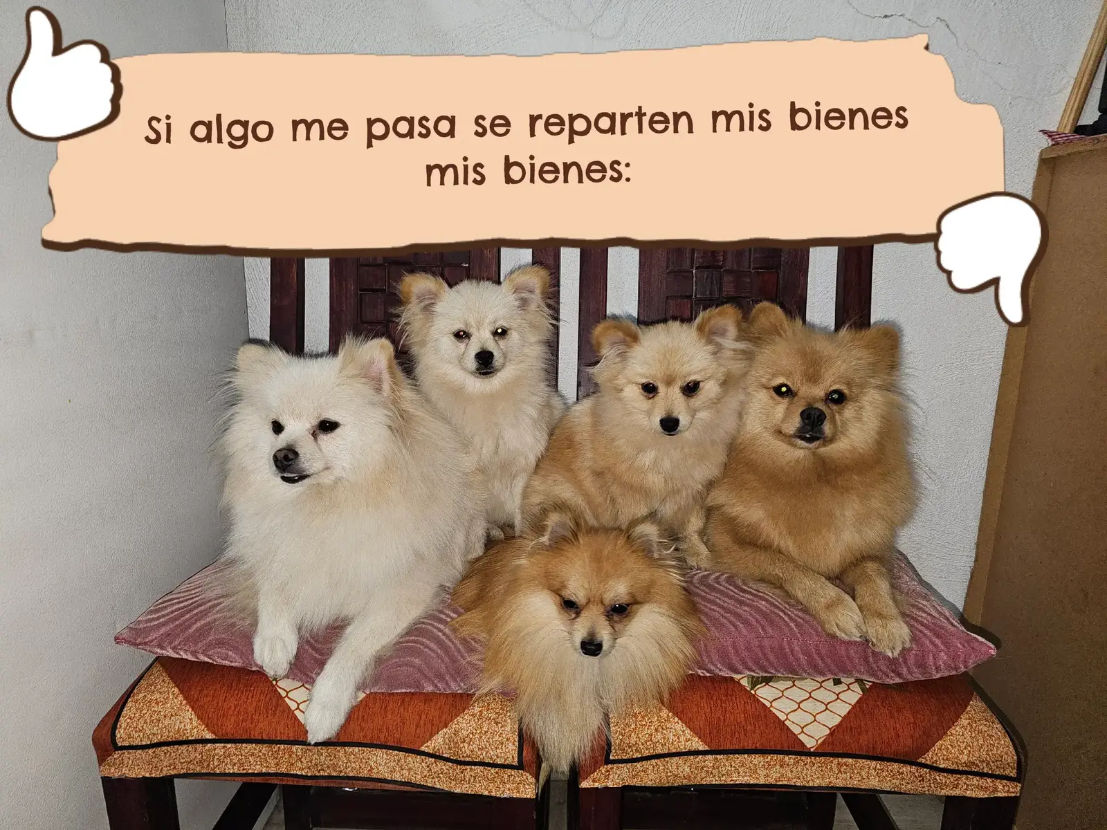 @Denise de Tobias