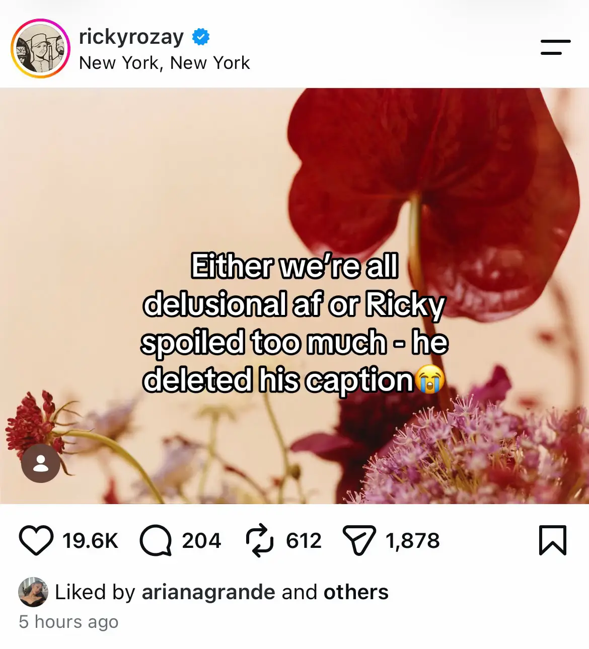 @°❀⋆𝘭𝘶𝘭𝘶⋆.ೃ࿔*