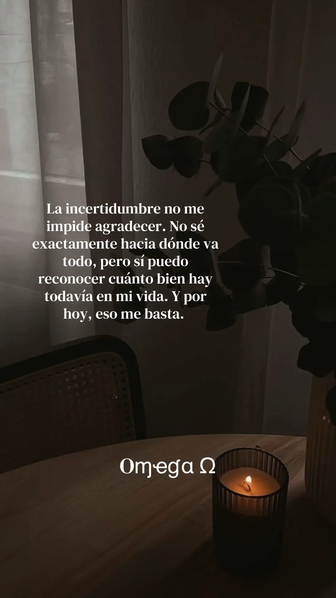 @Oɱҽɠα Ω