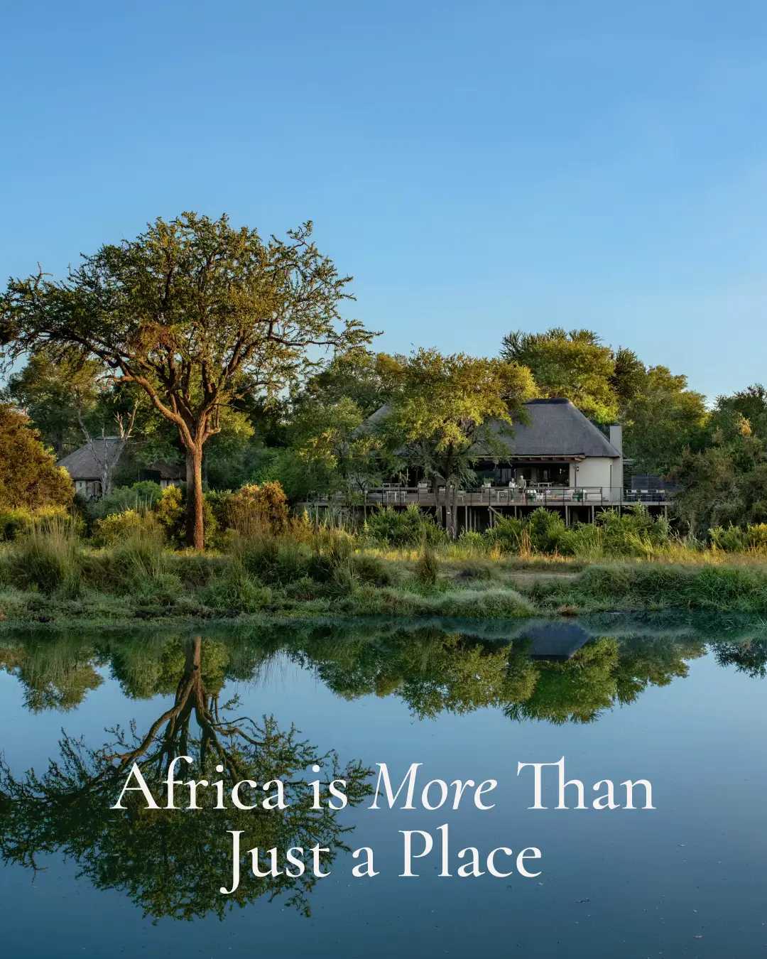 @Thornybush