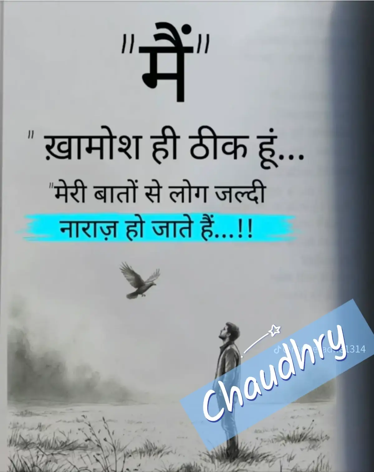 @chaudhary saab