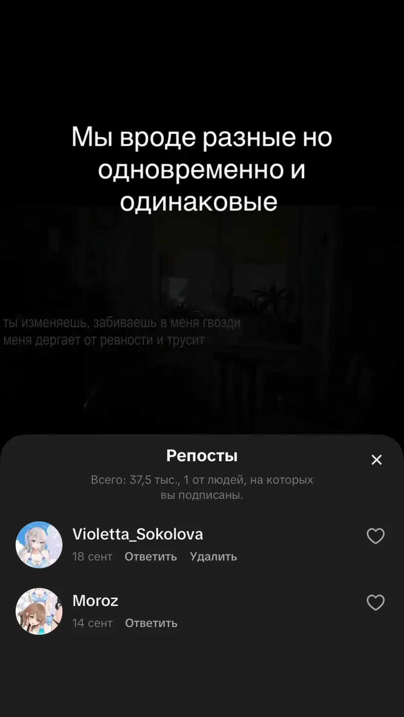@Violetta_Sokolova