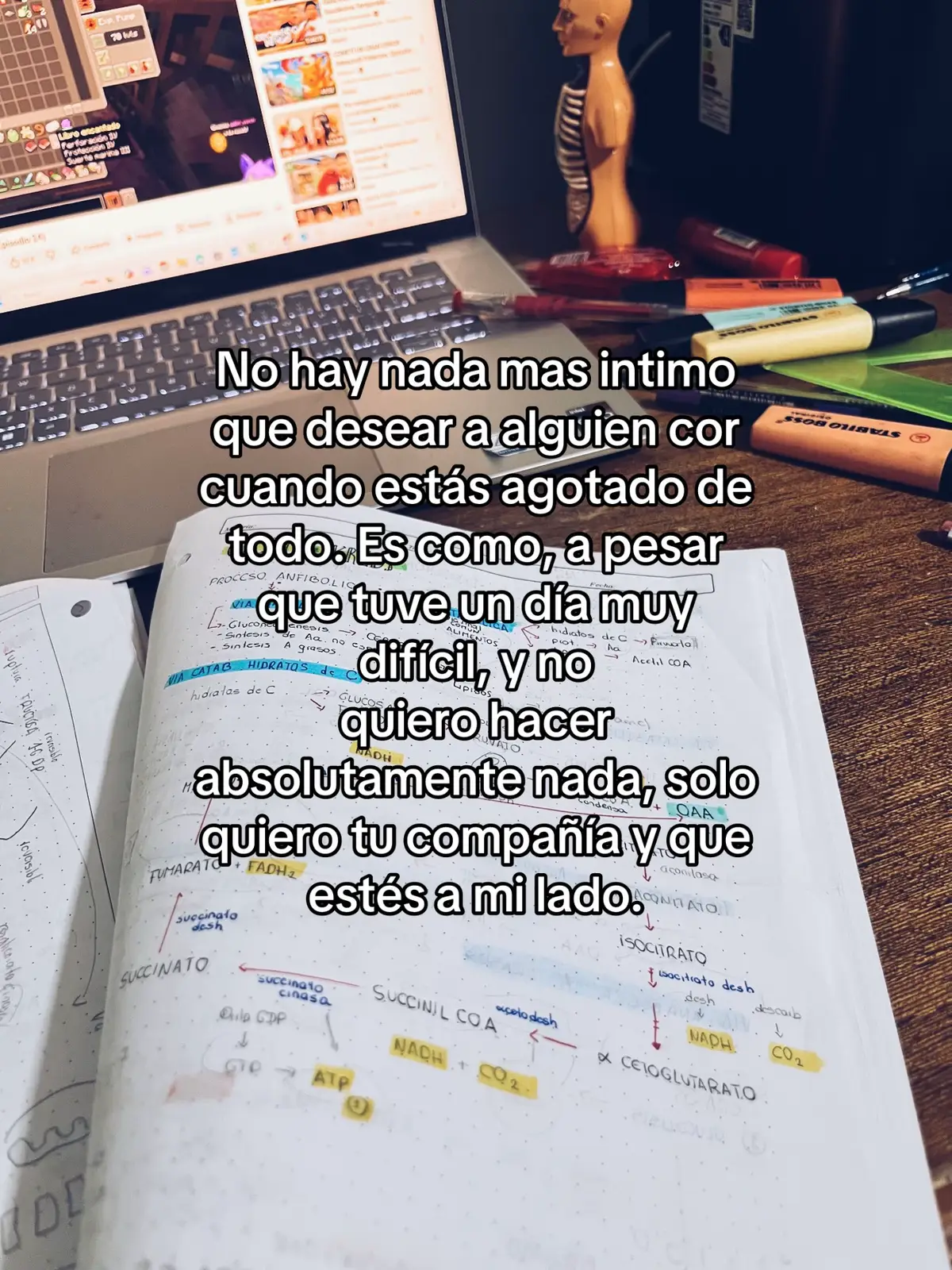 @isa_villarroel_med