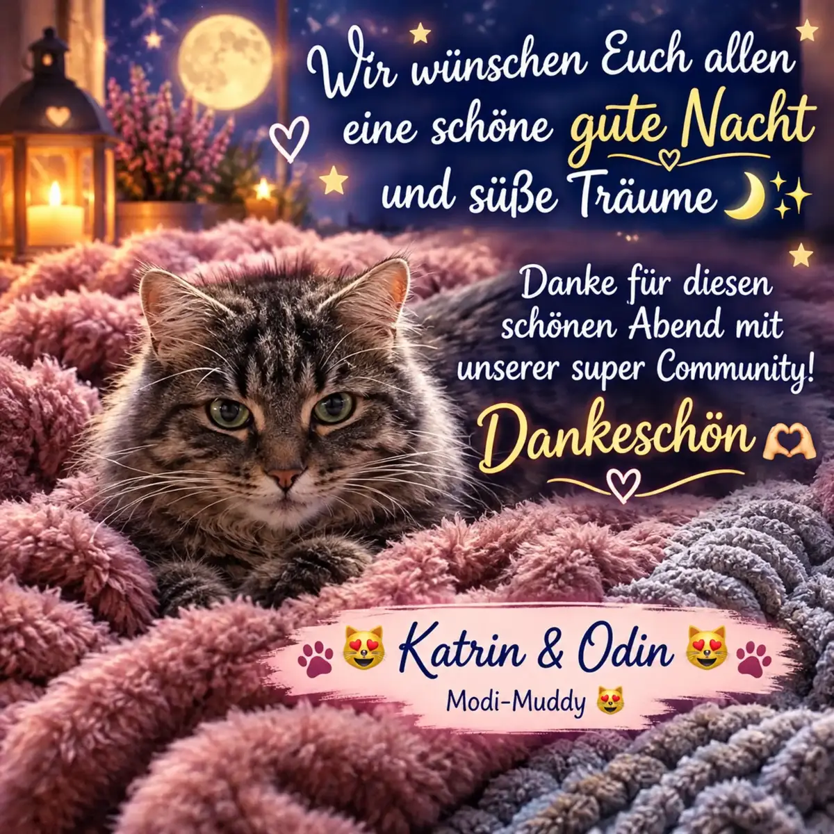 @😻Katrin&Odin 😻Modi Muddi 😻