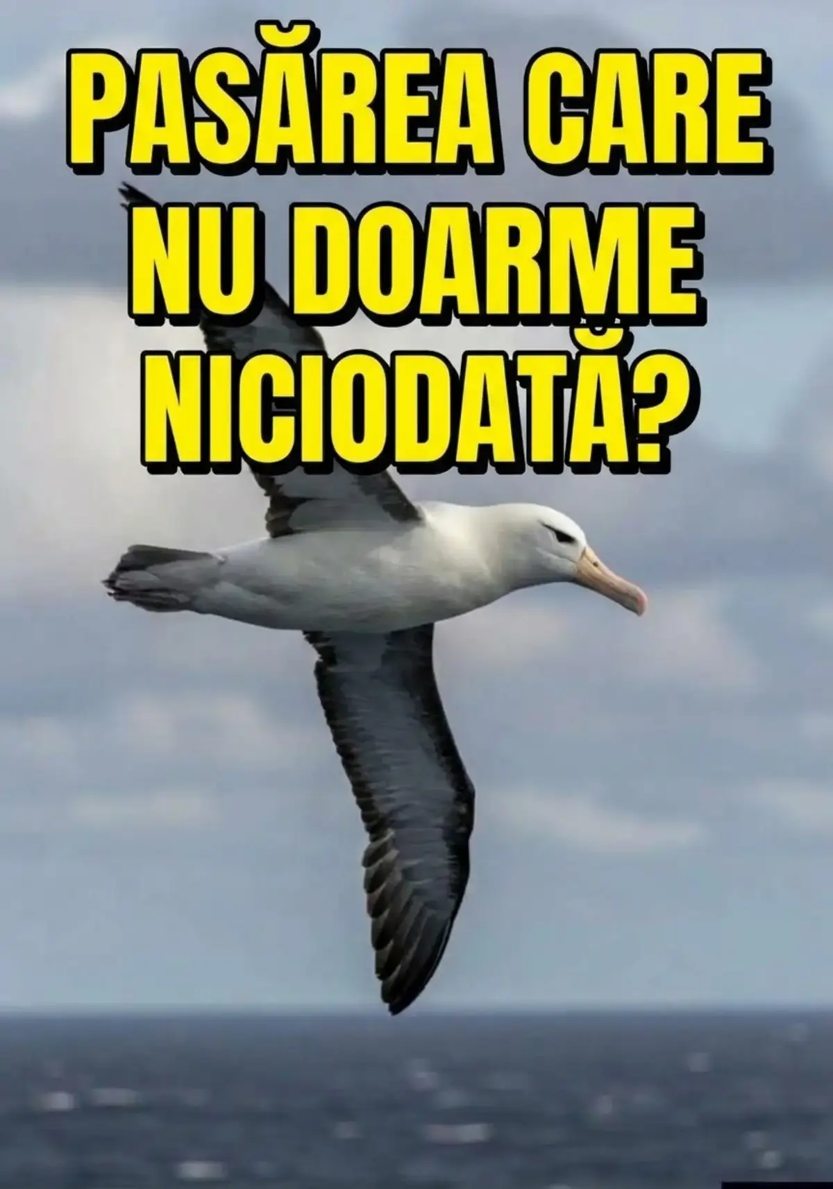 @Planând în adâncuri