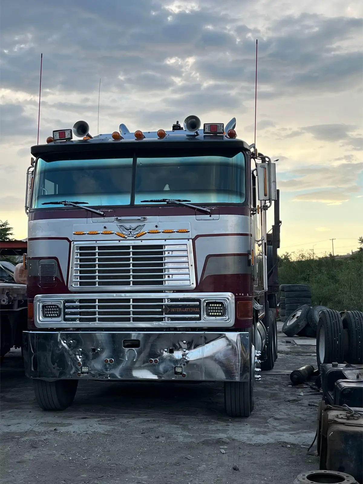 @Chihuahua Trucks